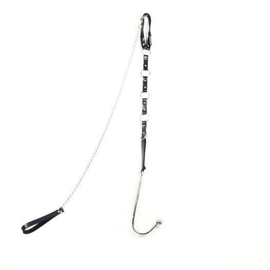 EverydayUse Anal Leash and 5853 Kinky with Hook Collar 0325